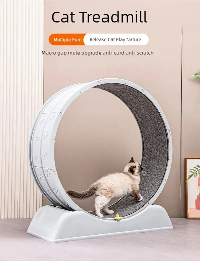 Pet  treadmill fitness exercise, silent cat running wheel, *FREE SHIPPING