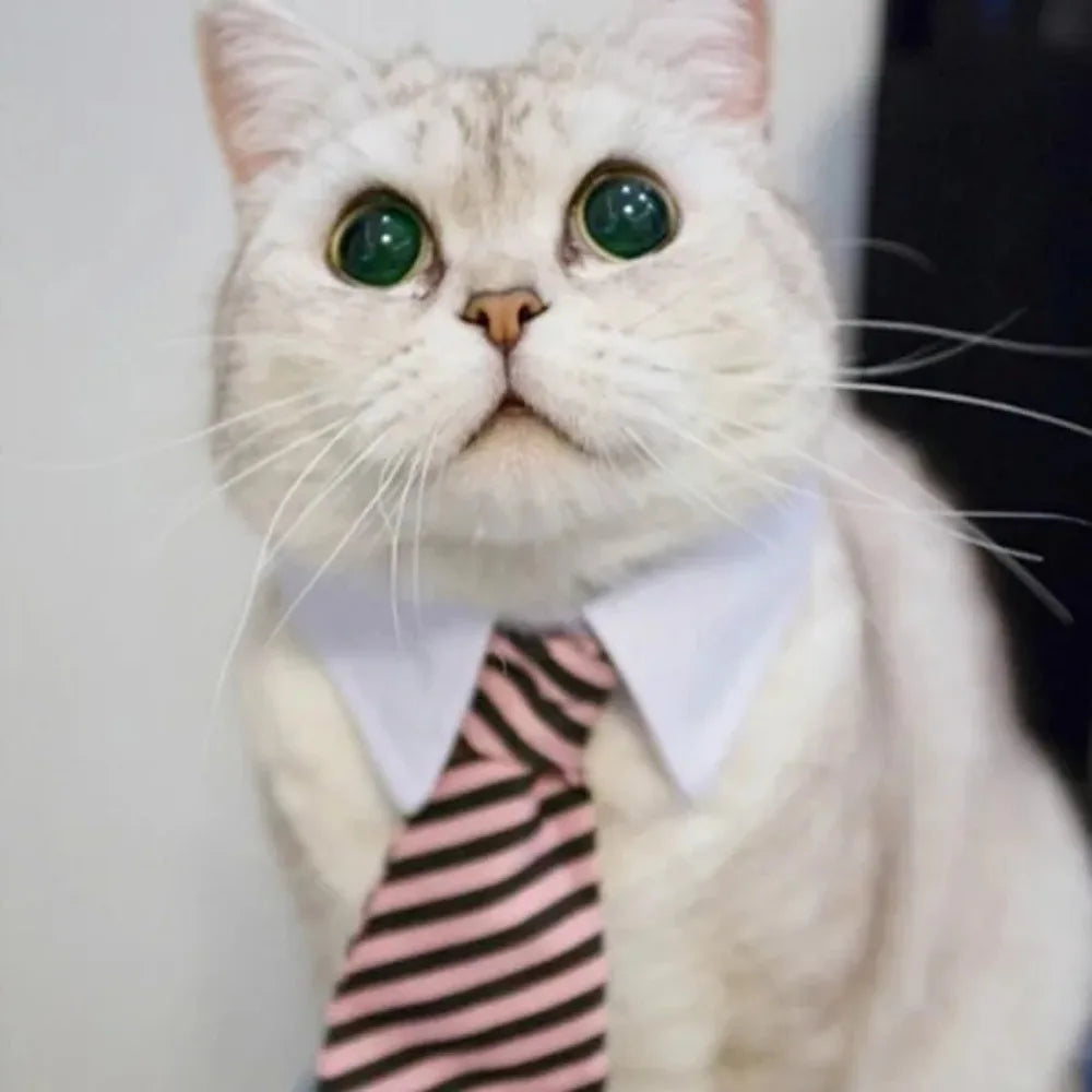 Pet Tie Necktie,  Adjustable Collar for Small Dogs and Cats *Free Shipping