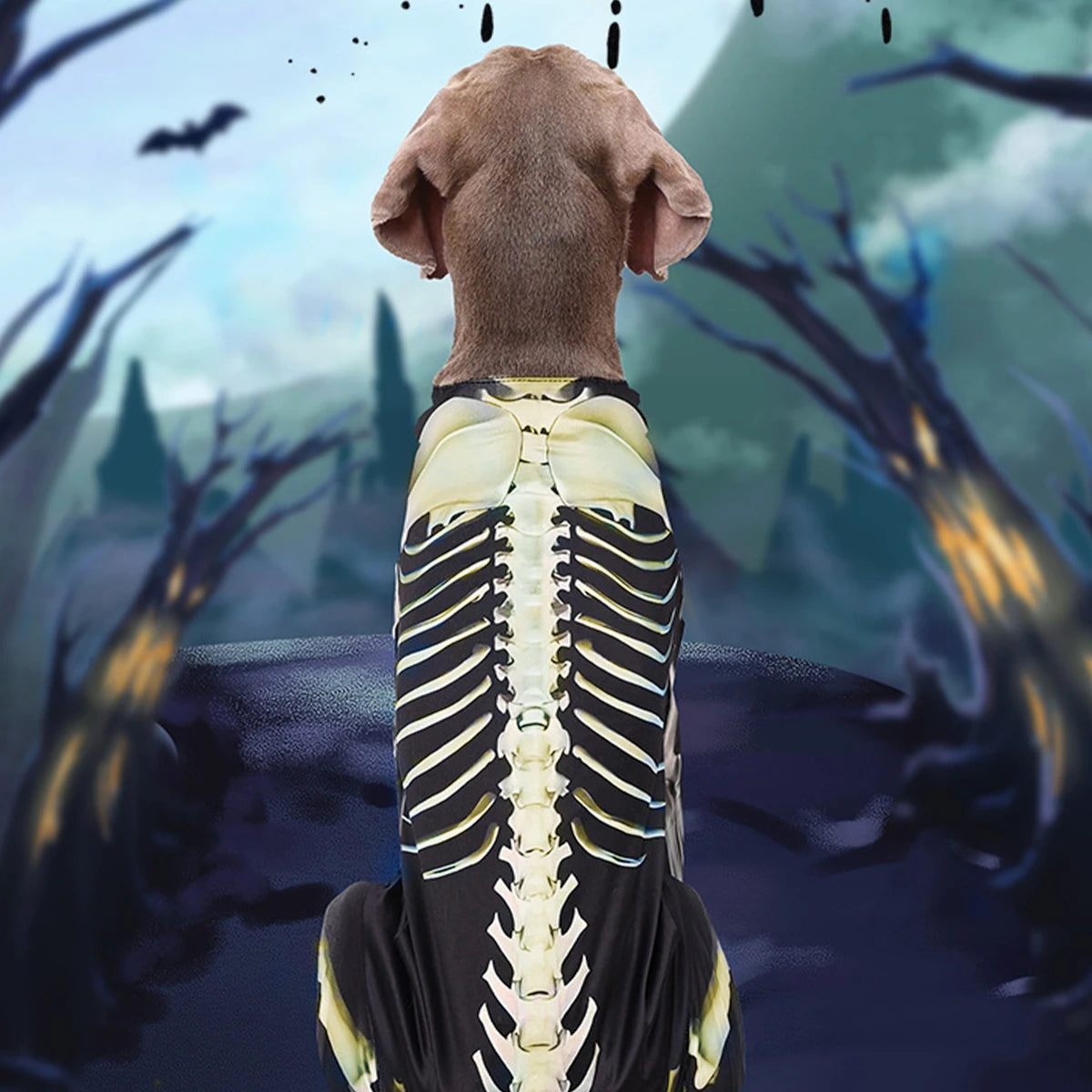 Pet Dog Halloween Costume Skeleton Outfit Comfortable Cool Large Dog clothes *Free shipping