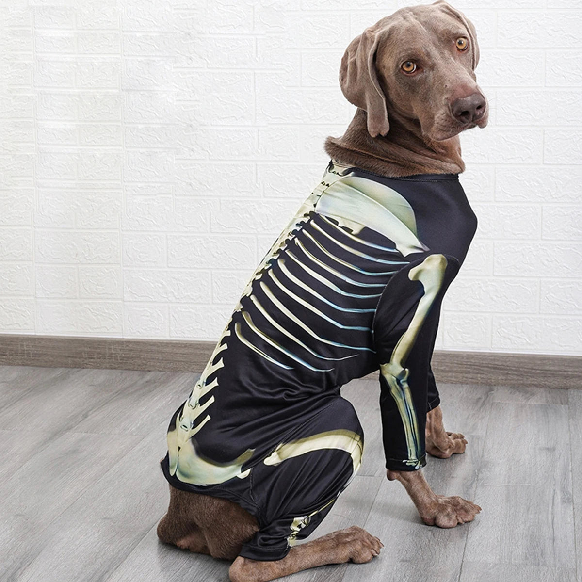 Pet Dog Halloween Costume Skeleton Outfit Comfortable Cool Large Dog clothes *Free shipping