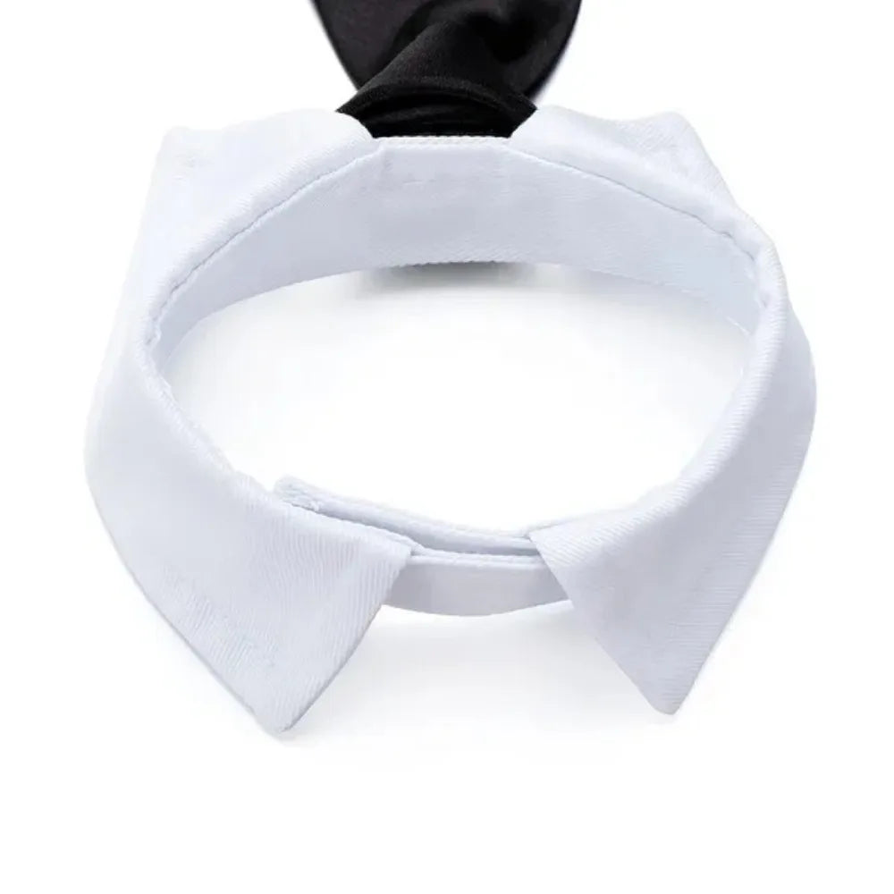 Pet Tie Necktie,  Adjustable Collar for Small Dogs and Cats *Free Shipping