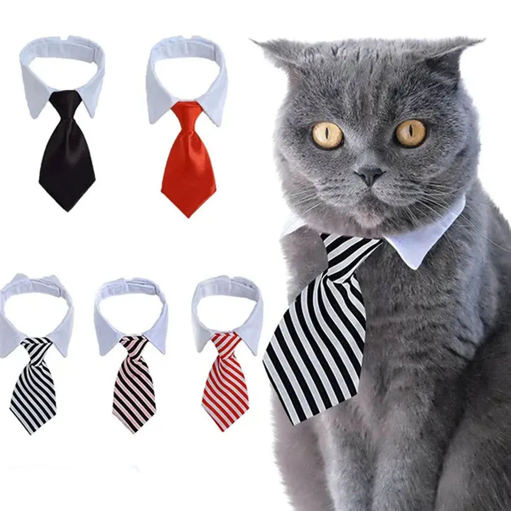 Pet Tie Necktie,  Adjustable Collar for Small Dogs and Cats *Free Shipping