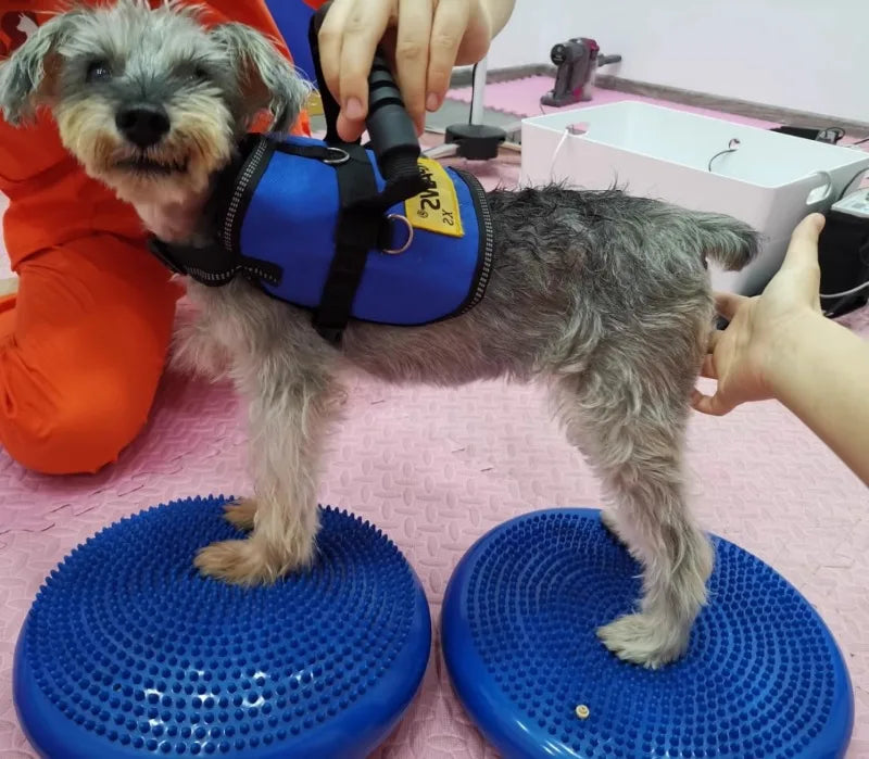 Dogs Training Fitness Sports Muscle Atrophy Dog Agility Toy *Free shipping