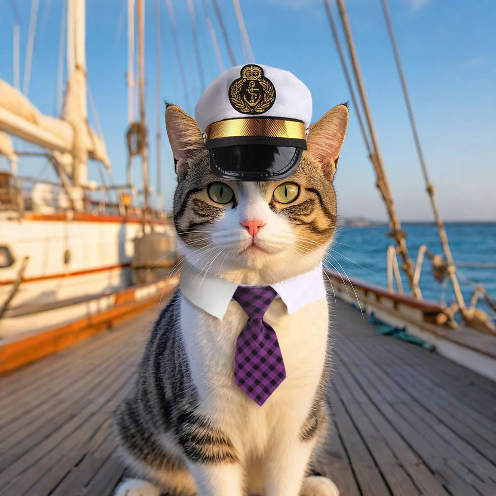 Pet captain / police officer costume set for cats and dogs,