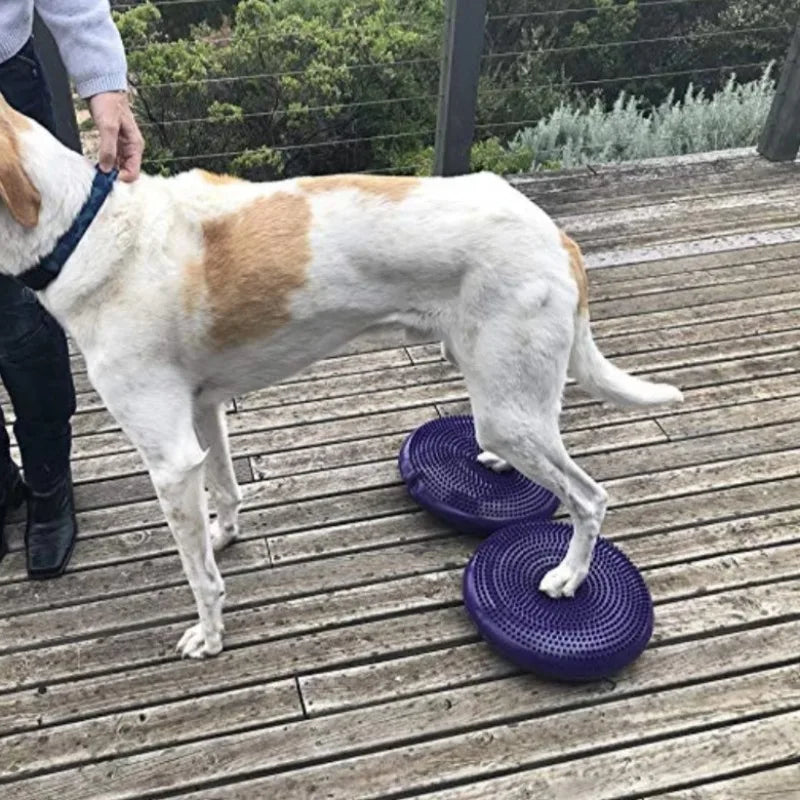 Dogs Training Fitness Sports Muscle Atrophy Dog Agility Toy *Free shipping