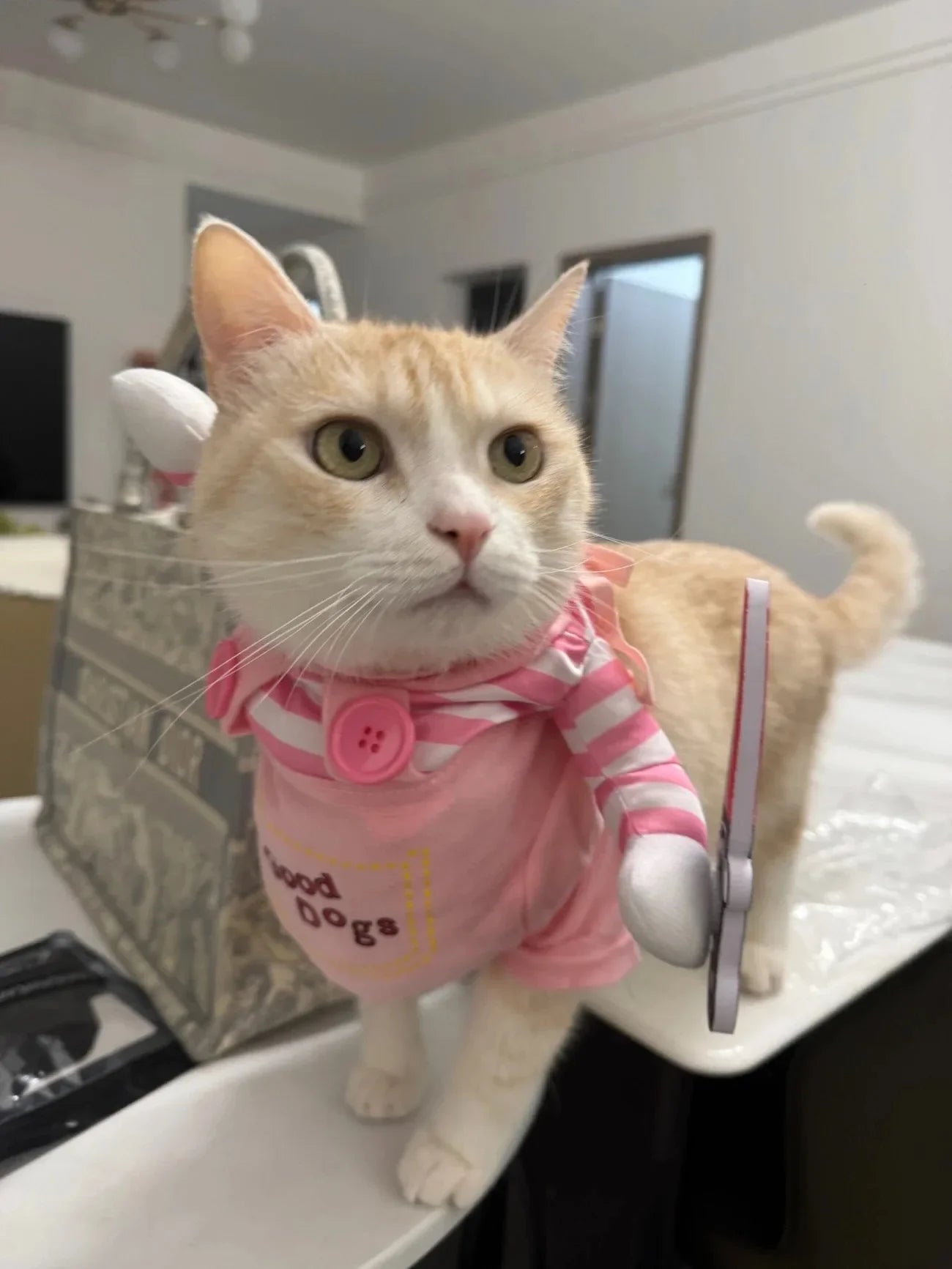 Cosplay Halloween Pet Costume Halloween