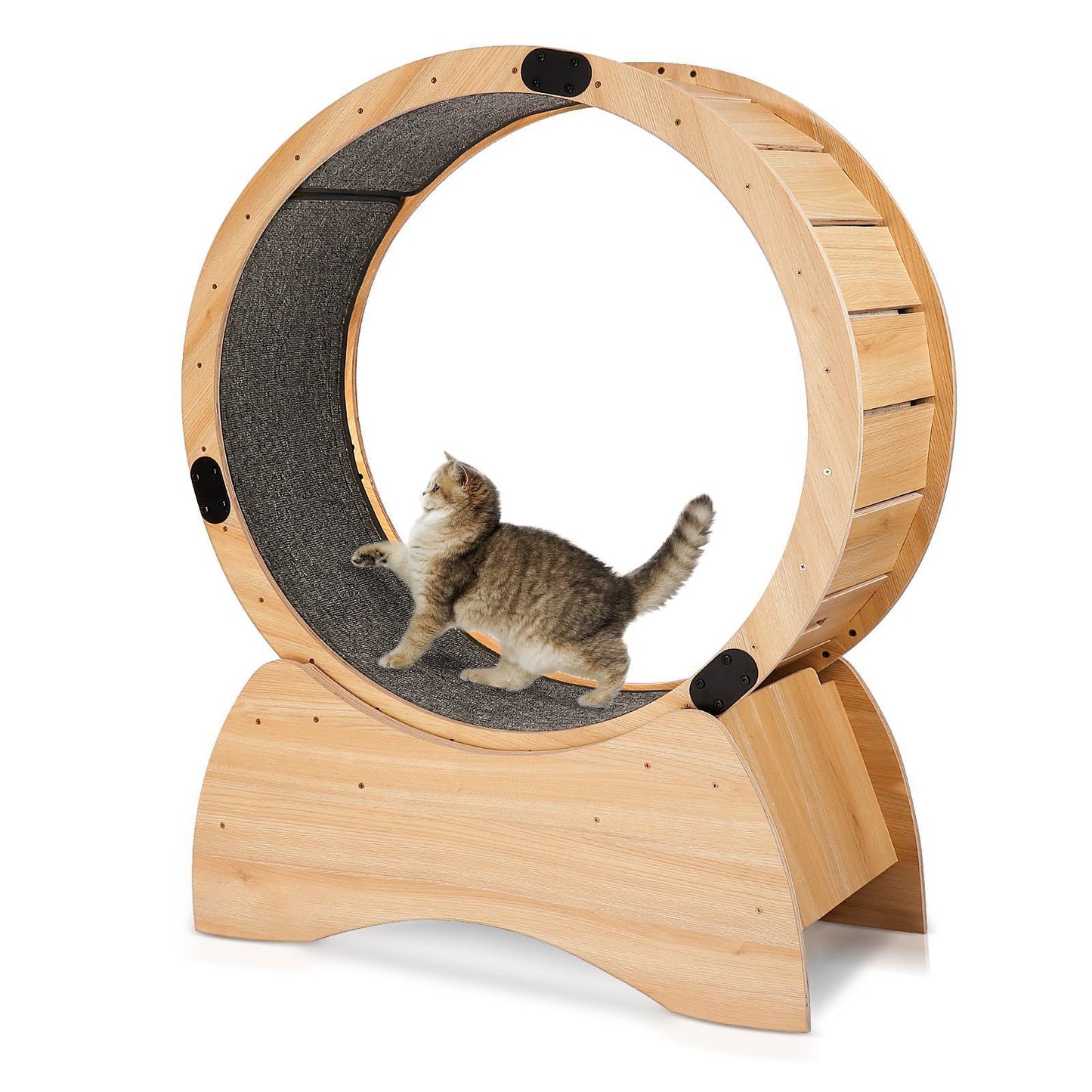 Cat Exercise Wheel Cat Treadmill With Carpeted Runway Kitty Cat Sport