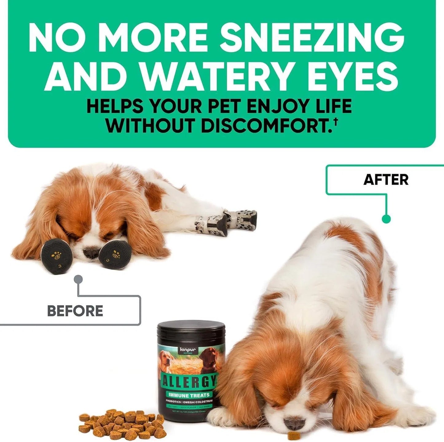 Dog Allergy Chews For Dog Itch Tasty Allergy Relief Pet Supplement For Dry Itchy Skin Anti Itch Immune For Dogs Licking Paws Antihistamine