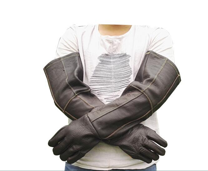 Simple Anti-bite And Scratch Pet Gloves