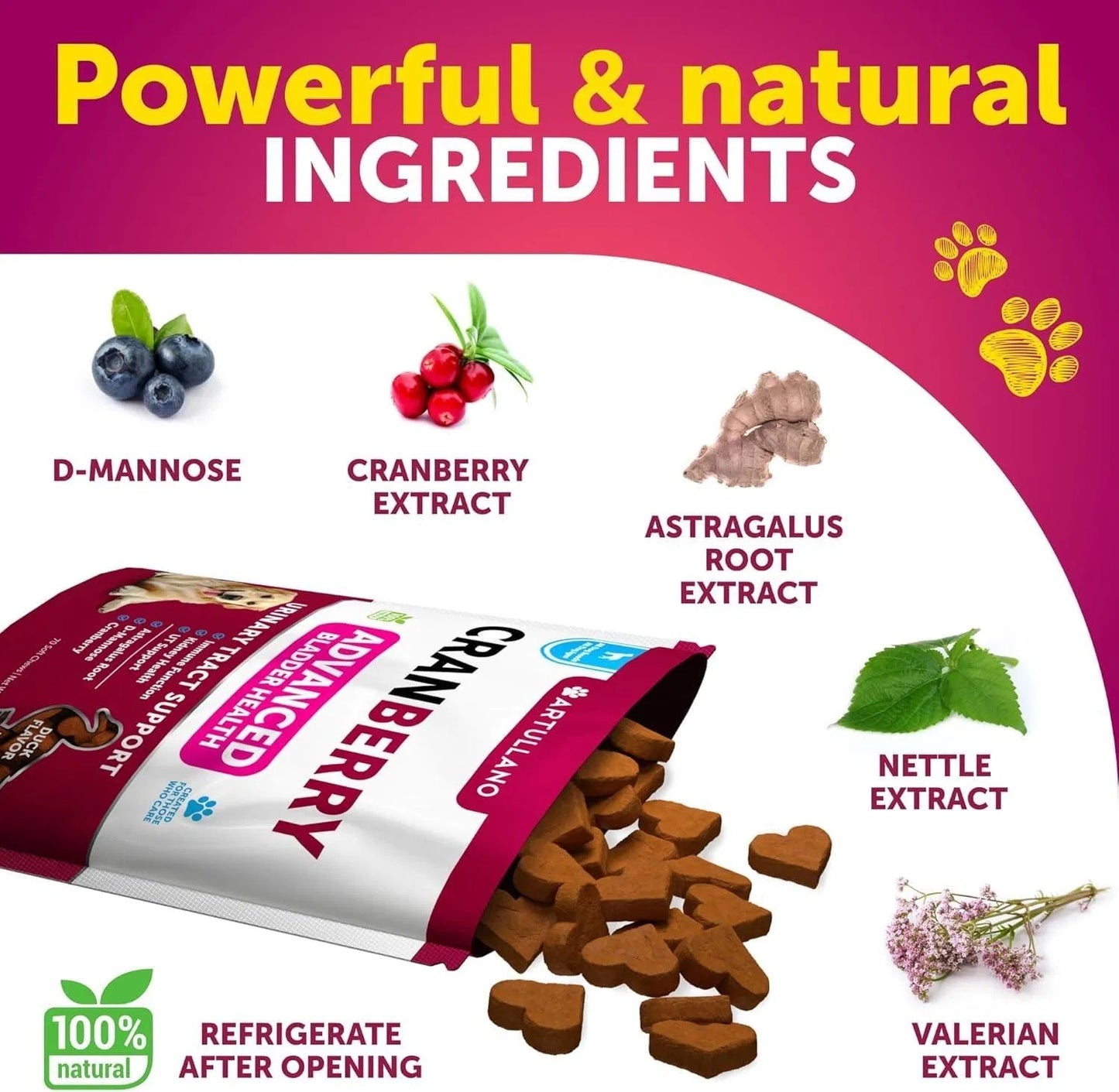 Dog UTI Treatment Cranberry Supplement Bladder Control Urinary Tract Infection Medicine Treats 70 Soft Chews