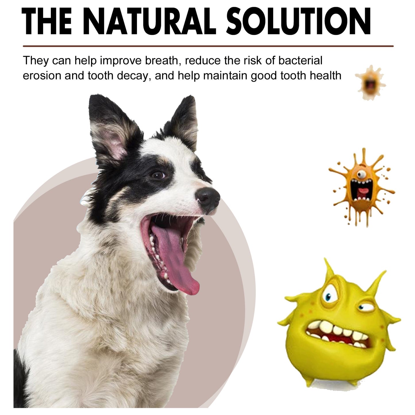 Pet Tooth Cleaning Spray