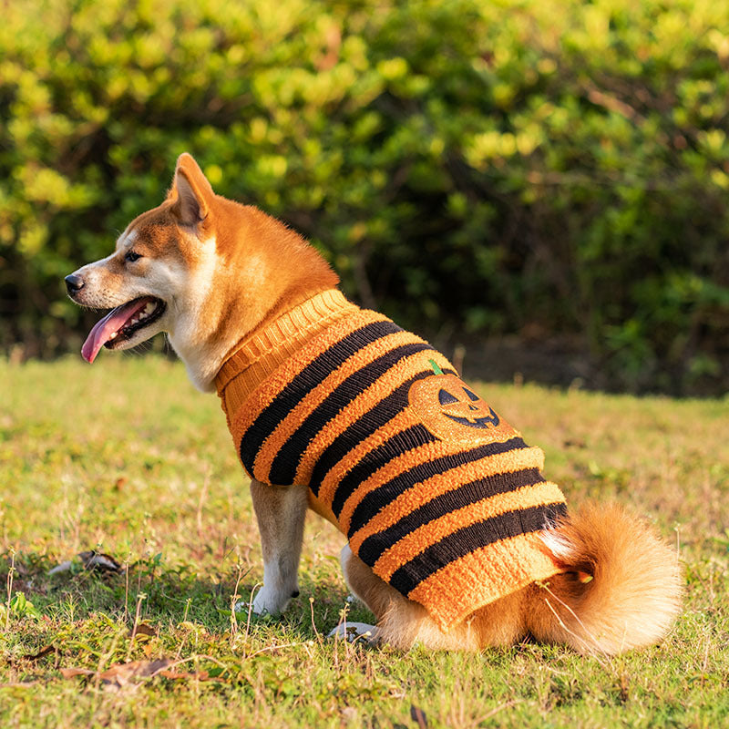 Halloween Dog Sweaters Pet Costume For Dogs Pets Outfits