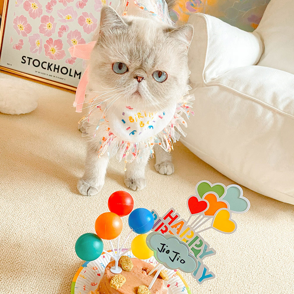 Pet Birthday Decoration Hat Party Bib