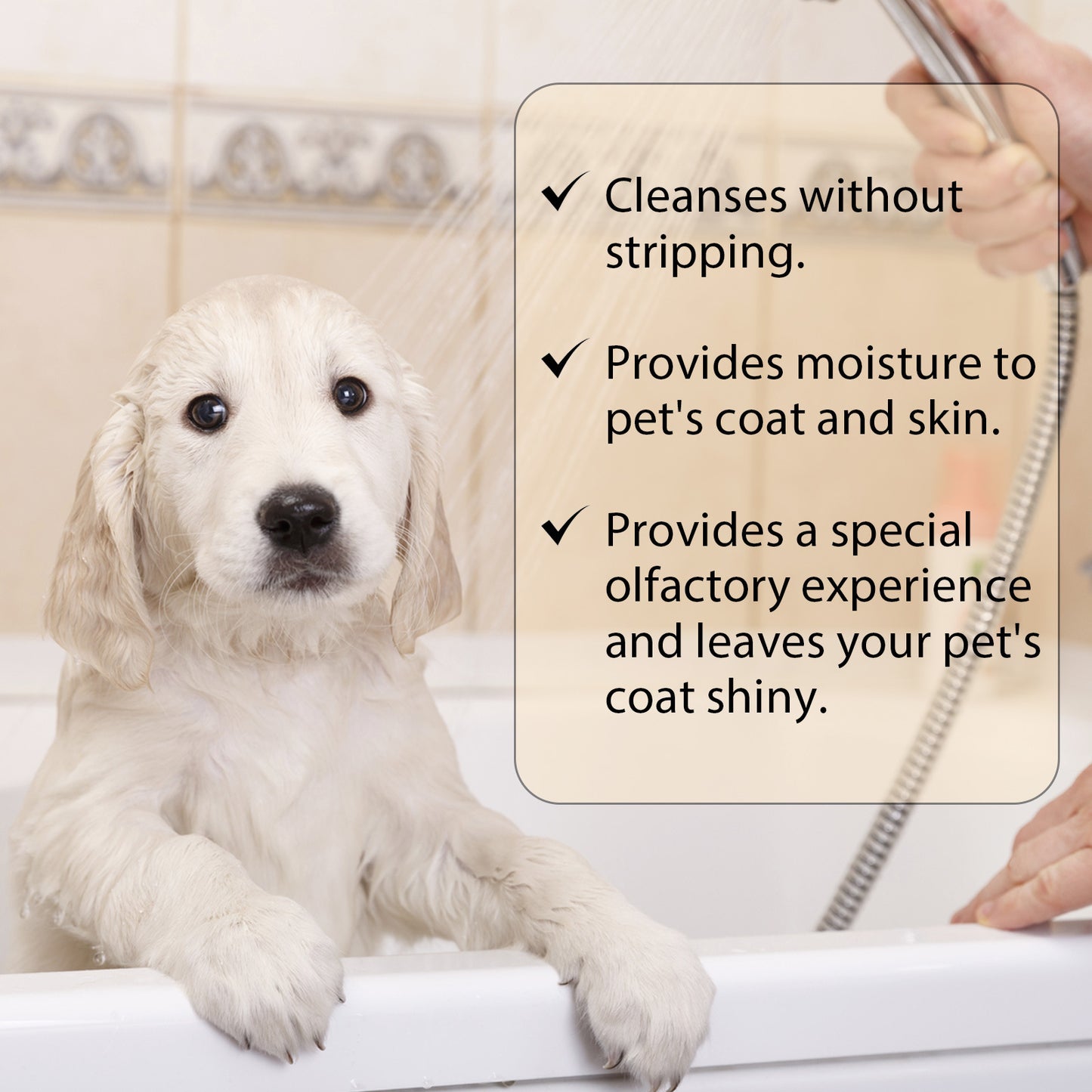 Pet Shampoo Mild And Clean Pet Cat And Dog Hair Soft And Unknotted Shampoo
