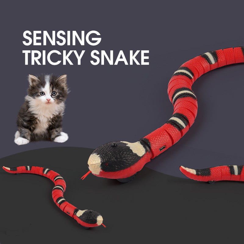 Automatic Eletronic Snake Cat Teasering Play USB Rechargeable Kitten Toys For Pet
