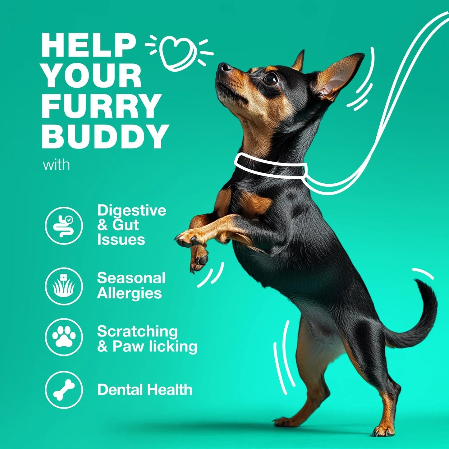 Probiotics For Dogs Support Gut Health Immunity Yeast Balance Itchy Skin Allergies Probiotics And Digestive Enzymes 180 Probiotic Chews For Dogs