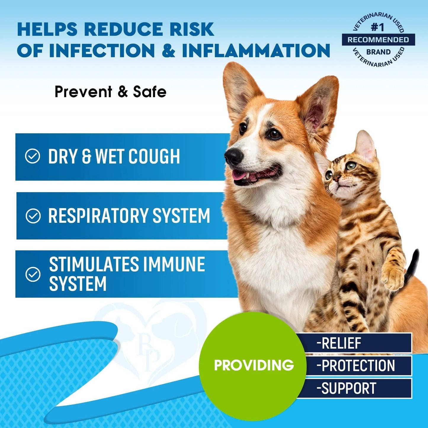 Natural Infection Medicine For Dogs And Cats Respiratory Colds Cough Relief And Asthma