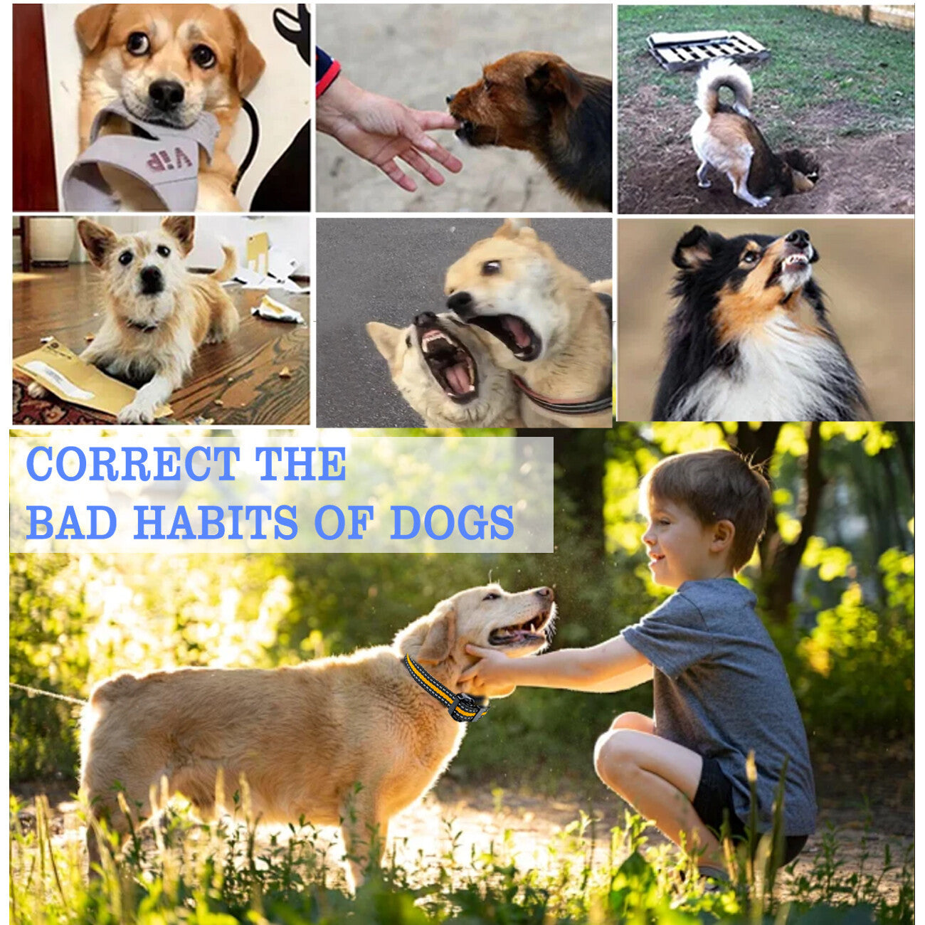 ElDog Pet Training Collar Rechargeable Waterproof Electric Shock Anti Bark R800m