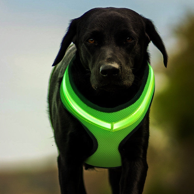 LED Luminous Dog Led USB Charging Dog Chest Strap Vest Pet Safety Reflective Harness Pet Vest For Puppy Large Dog Pet Products