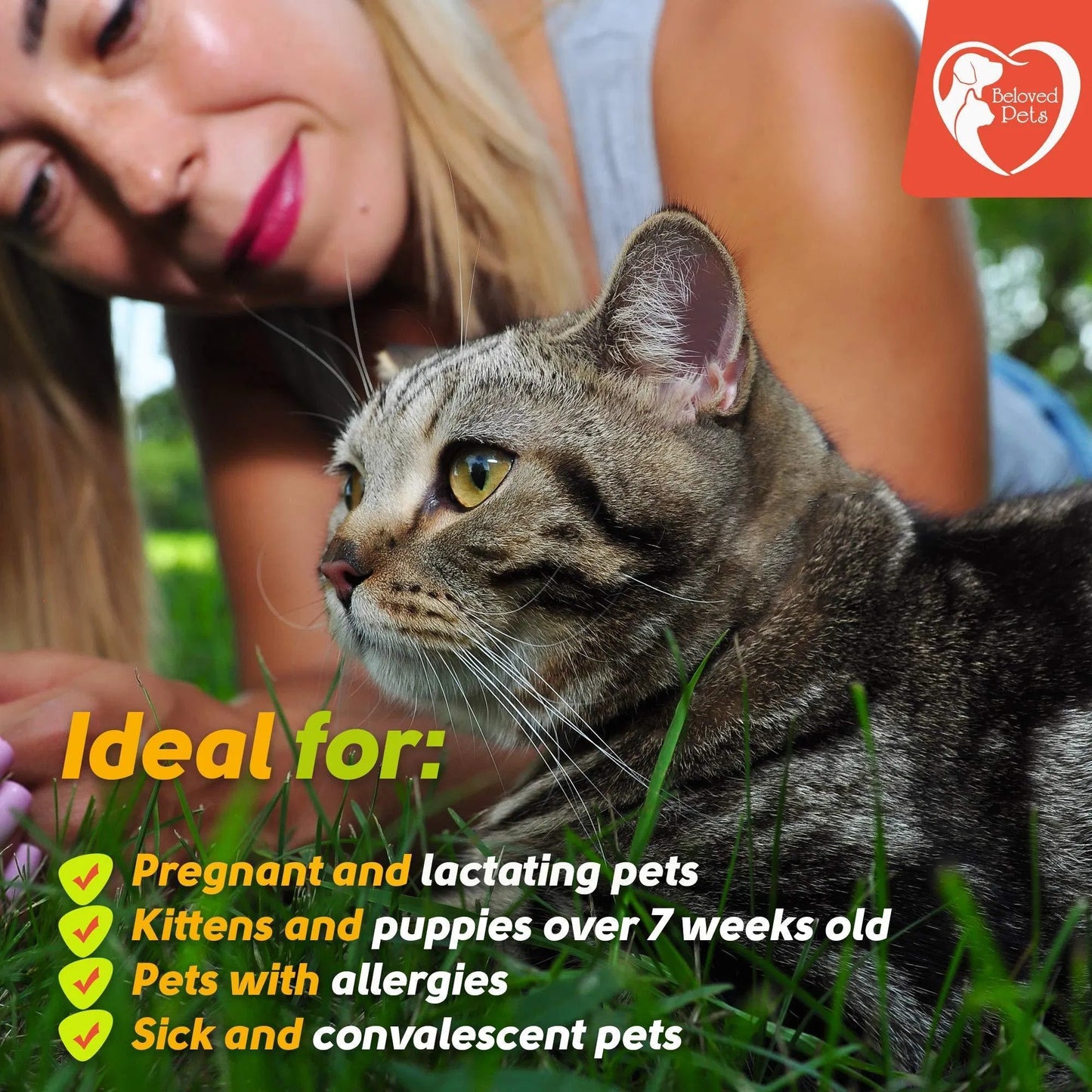 Flea And Tick Prevention For Dogs Cats Rabbits Natural Flea Treatment Home Pest Control Topical Flea Mosquito Repellent For Puppy Kitten 3 Drops For Small And Large Pet