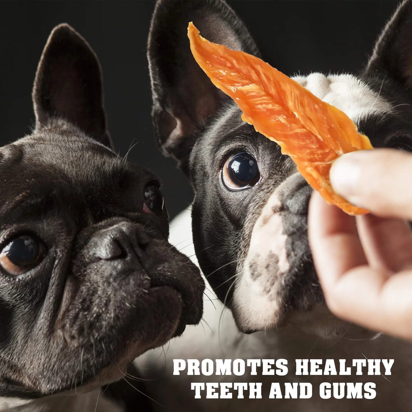 Chicken Jerky Dog Treats 1.5 Lb Human Grade Pet Snacks Grain Free Organic Meat All Natural High Protein Dried Strips Best Chews For Training Small & Large Dogs
