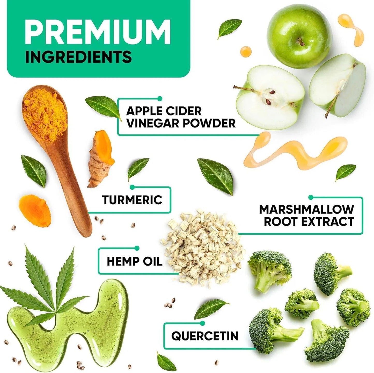 Dog Allergy Chews For Dog Itch Tasty Allergy Relief Pet Supplement For Dry Itchy Skin Anti Itch Immune For Dogs Licking Paws Antihistamine