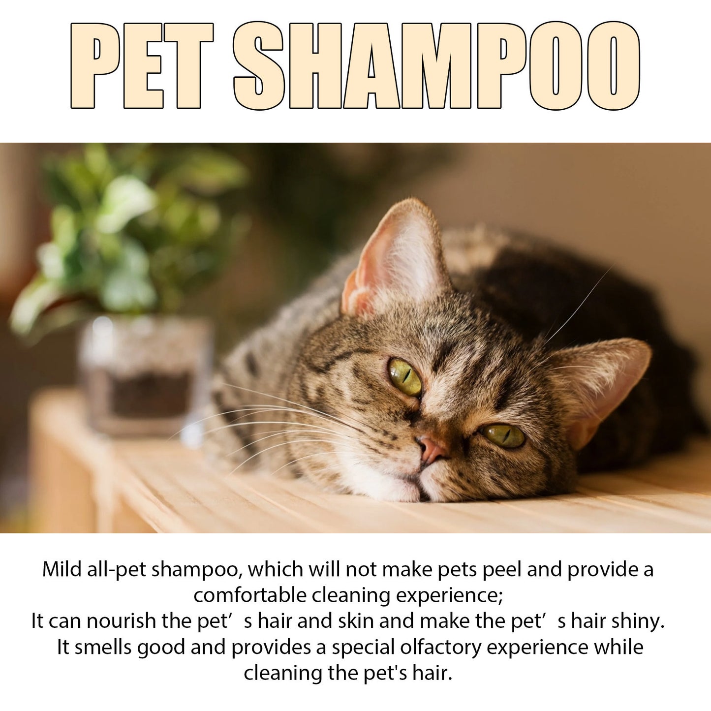 Pet Shampoo Mild And Clean Pet Cat And Dog Hair Soft And Unknotted Shampoo
