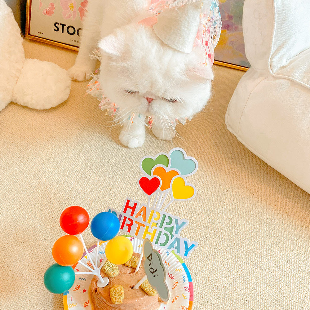 Pet Birthday Decoration Hat Party Bib