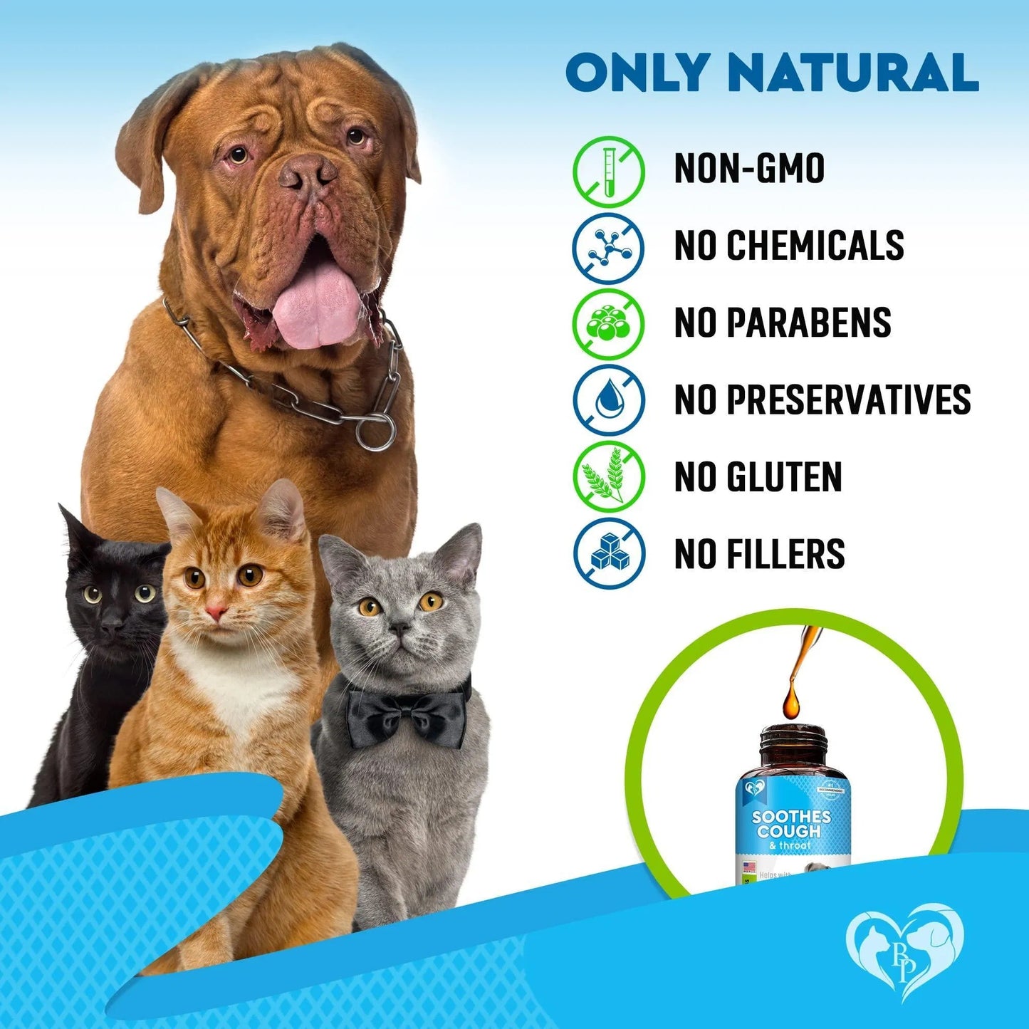 Natural Infection Medicine For Dogs And Cats Respiratory Colds Cough Relief And Asthma