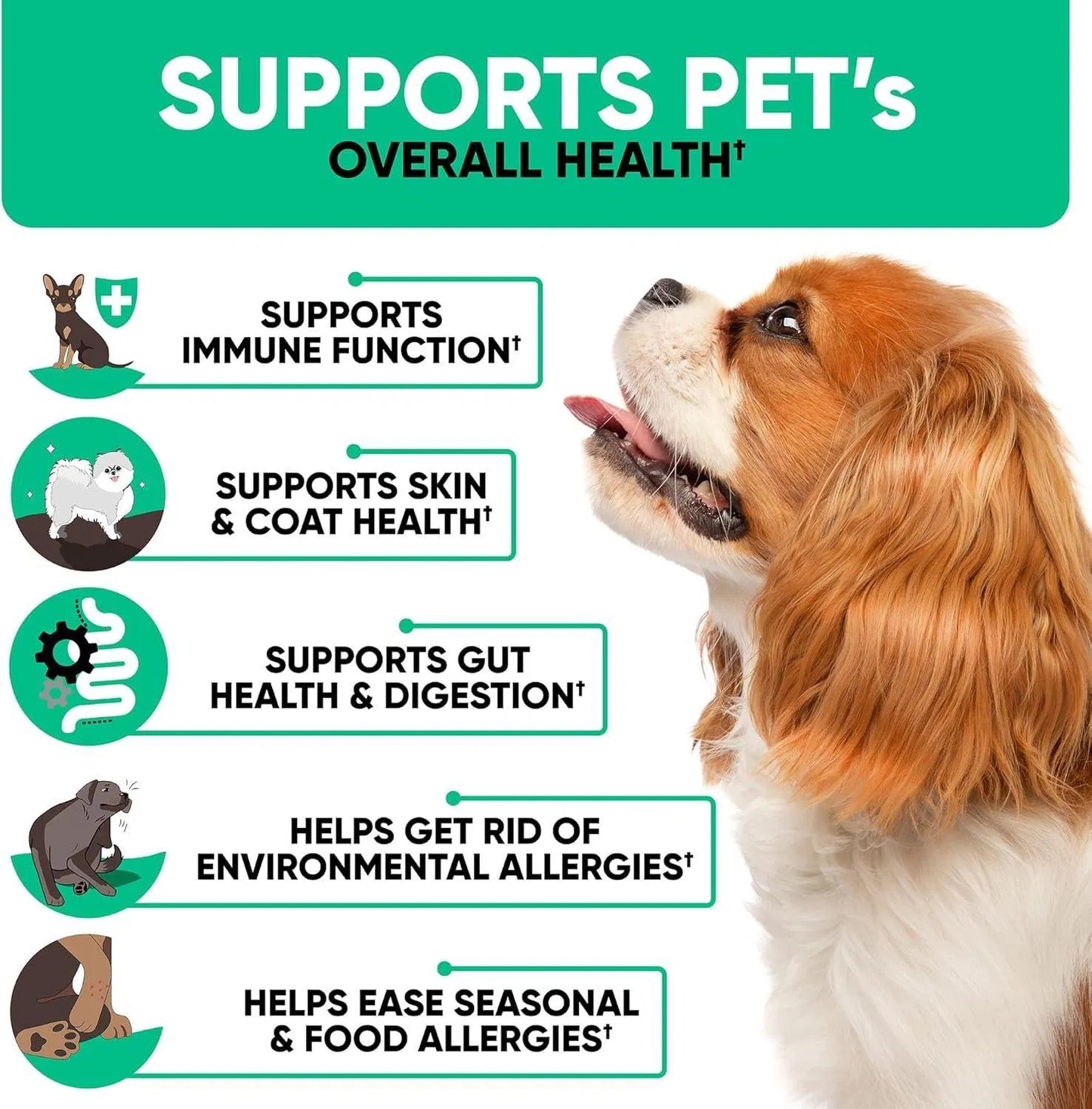 Dog Allergy Chews For Dog Itch Tasty Allergy Relief Pet Supplement For Dry Itchy Skin Anti Itch Immune For Dogs Licking Paws Antihistamine