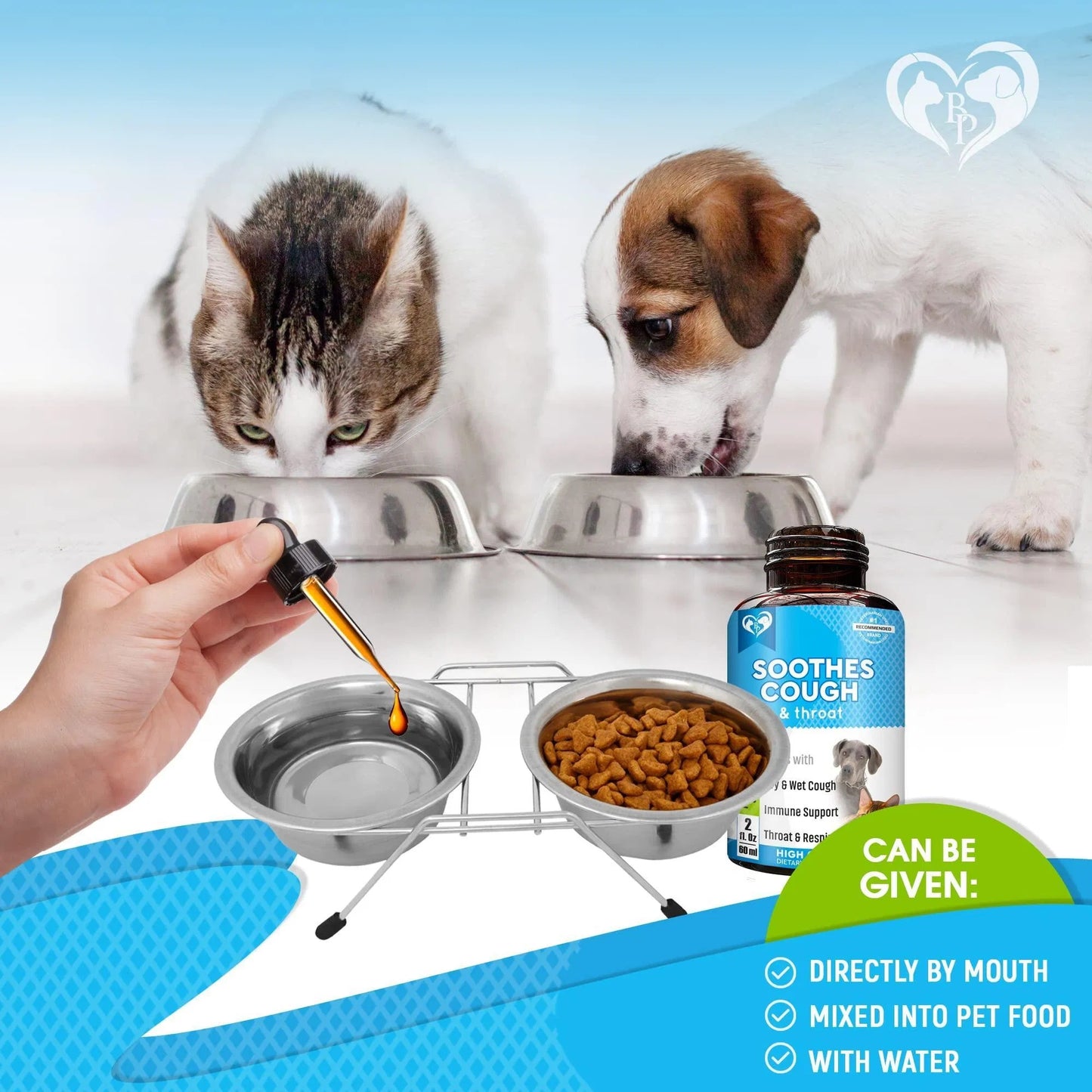 Natural Infection Medicine For Dogs And Cats Respiratory Colds Cough Relief And Asthma