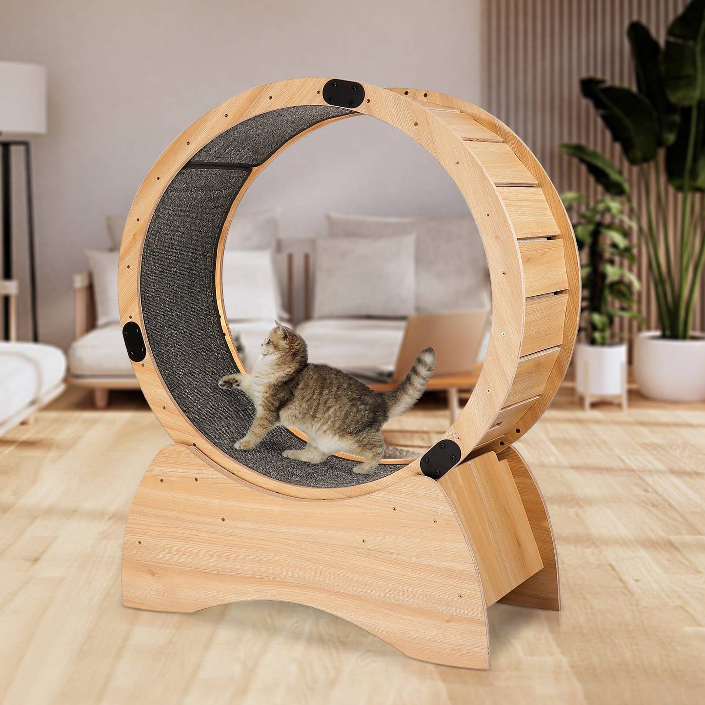 Cat Exercise Wheel Cat Treadmill With Carpeted Runway Kitty Cat Sport