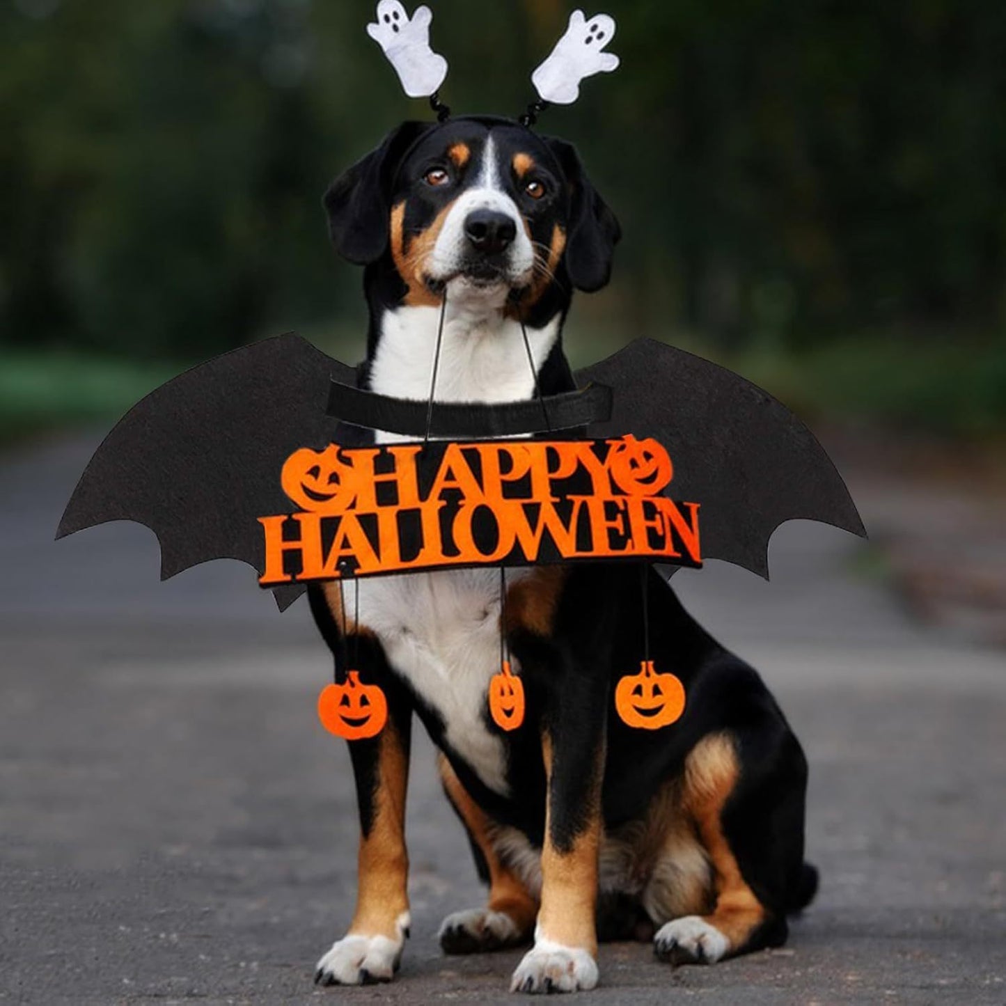 Dog Halloween Bat Costume Cool Luminous Skeleton Bone Bat Wings Pets Cosplay